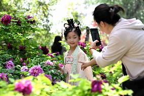 #CHINA-SPRING-FLOWERS-OUTDOOR ACTIVITY