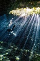 Scuba Diving In World Famous Cenotes In Tulum - Mexico
