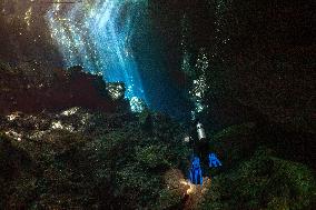 Scuba Diving In World Famous Cenotes In Tulum - Mexico
