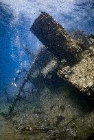Ship Wrecks of North Red Sea - Egypt