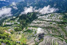 Kampung Rice Terraces in Congjiang