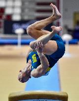 16th FIG Artistic Gymnastics World Cup In Doha 2024