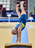 16th FIG Artistic Gymnastics World Cup In Doha 2024