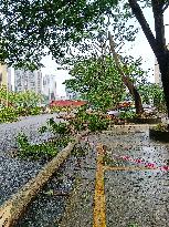 Storm Hit Qingyuan