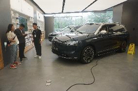 New Energy Vehicles Popular in China