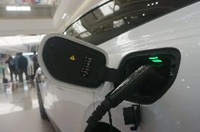 New Energy Vehicles Popular in China