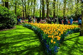 Keukenhof, The Garden Of Europe Celebrates Its 75th Anniversary, The Netherlands.