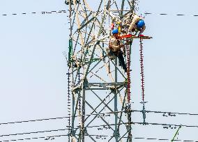 A Bird's Nest on A Power Tower in Xinghua