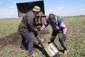 Sowing campaign in Kharkiv region