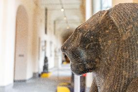 Egyptian Museum Of Turin: Towards The New Gallery Of Kings