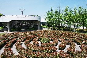 A Plant Maze in Hangzhou