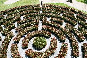 A Plant Maze in Hangzhou