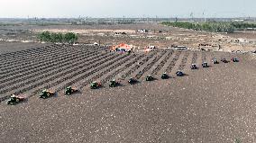 Planting Base in Shenyang