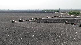 Planting Base in Shenyang
