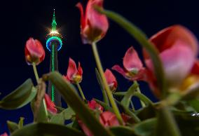 CANADA-TORONTO-EARTH DAY-CN TOWER