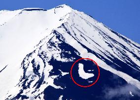Bird-shaped patch of snow on Mt. Fuji