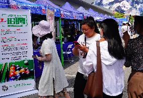 A Job Fair in Yichang