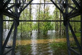 Flooded Hidropark in Kyiv