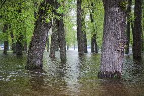 Flooded Hidropark in Kyiv