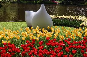 Keukenhof Tulip Gardens