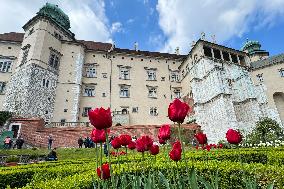 Royal Gardens At Wawel Castle In Krakow