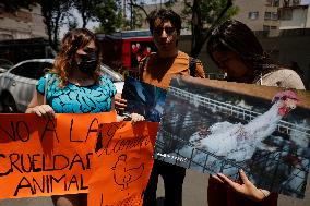 Animal Rights Groups Demonstrate Against Adolfo Gomez Hernandez