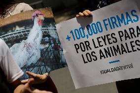 Animal Rights Groups Demonstrate Against Adolfo Gomez Hernandez