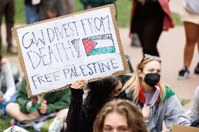 Gaza Campus Protests In DC