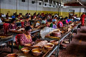 Cashew Nut Factory In Kerala