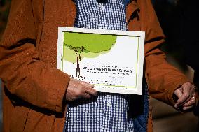 A69 Highway : 'Majo' Of The Crem'arbres ZAD Receives The Label 'Outstanding Tree Of The Year'