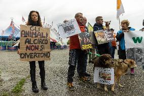 Animal Rights Activists Protest Against Against The Exploitation Of Animals In Circuses