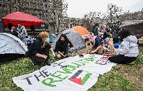 Students Set Up A Pro-Palestinian Encampment - Montreal