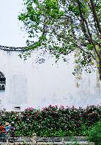(ZhejiangPictorial) CHINA-ZHEJIANG-JIAXING-YUEHE HISTORICAL AREA (CN)