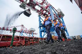 Electric Coal Supply in Fuzhou