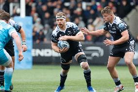 Newcastle Falcons v Sale Sharks - Gallagher Premiership Rugby