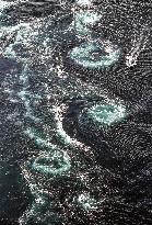Whirlpools in Japan