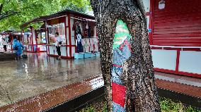 A Scarred Tree Draws A Cartoon of A Scenic Spot in Xi'an
