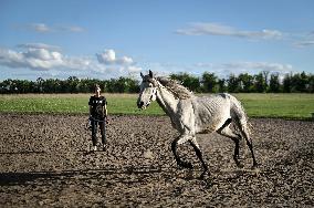 Horse training on Khortytsia island