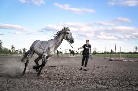 Horse training on Khortytsia island