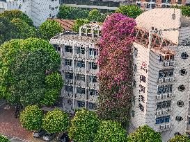 A Giant Triangle Plum Blossom Wall in Nanning