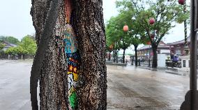 A Scarred Tree Draws A Cartoon of A Scenic Spot in Xi'an