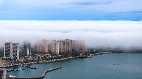 Buildings And Islands Loom  in Qingdao