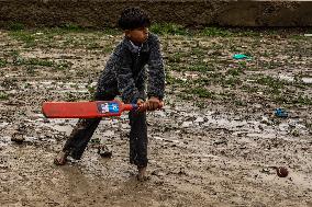 Cricket In Rainfall In Kashmir