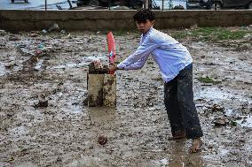 Cricket In Rainfall In Kashmir