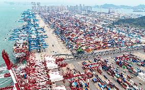 Qingdao Port Working Scene