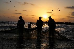 Hunting Seafood In Port Said