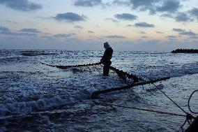 The Fishing Profession In The City Of Port Said.