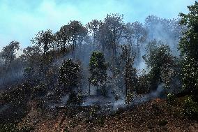 Forest Fire In Nepal