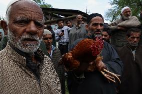 Rooster Auctioned For 1 Lakh Rupees In Kashmir
