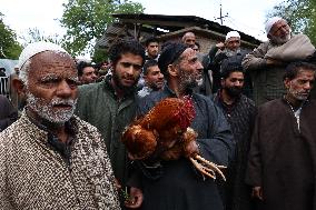 Rooster Auctioned For 1 Lakh Rupees In Kashmir